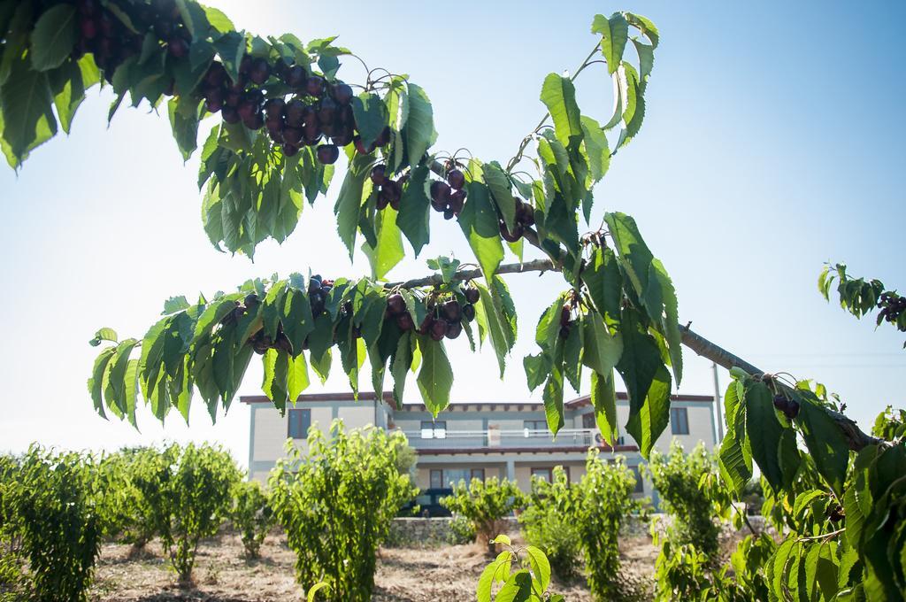 Agriturismo La Ferrovia Molfetta Exteriér fotografie